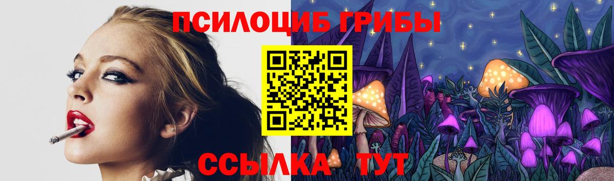 Улан-Удэ  Псилоцибиновые грибы мухоморы  Вход с VPN 